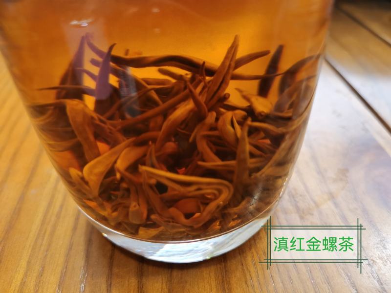 云南古树红茶特级凤庆滇红大金针和金螺茶，功夫茶