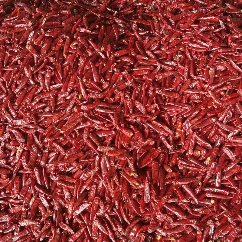 金乡干辣椒全干精品通货量大价格便宜产地直发需要的联系