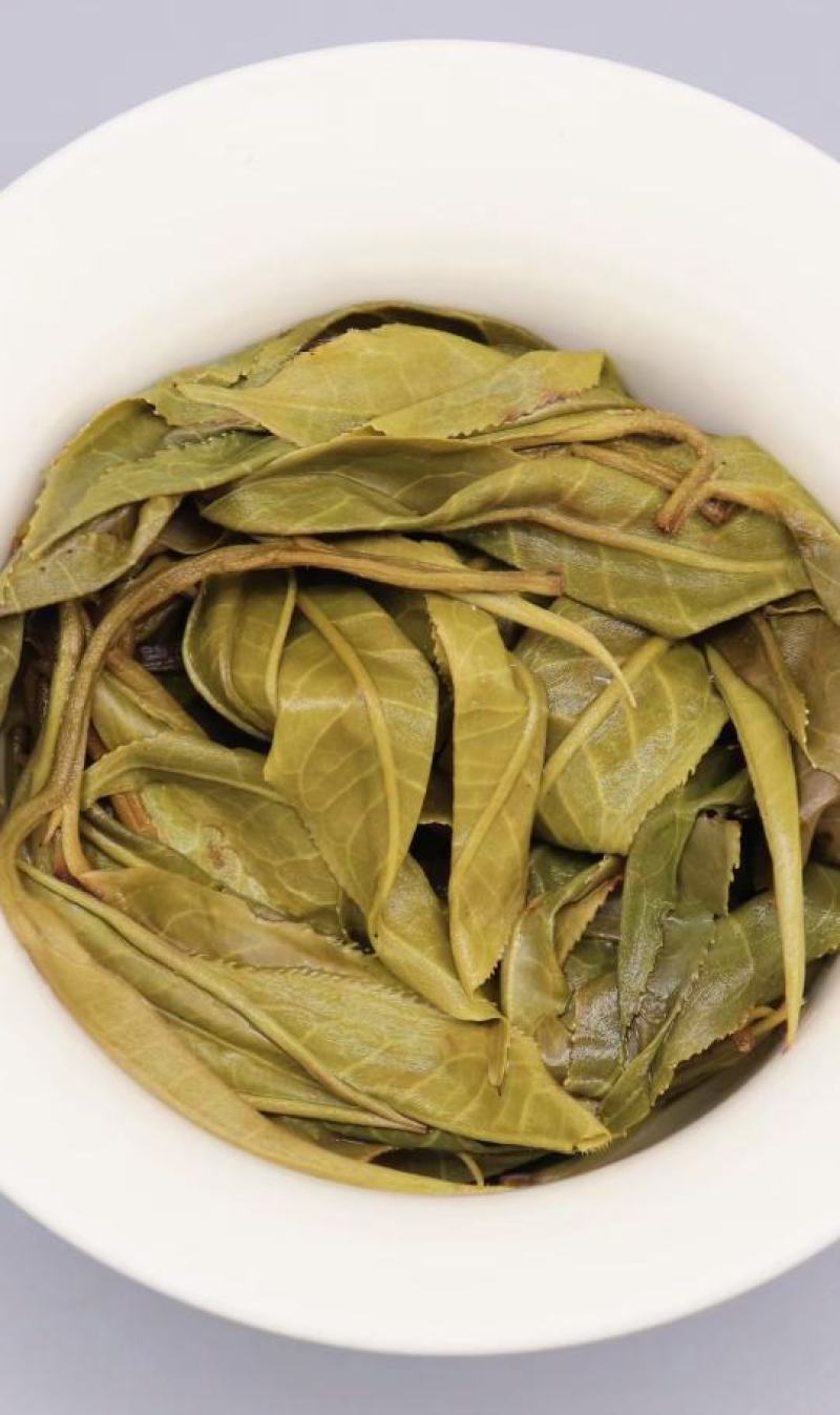 普洱茶嗮青毛茶