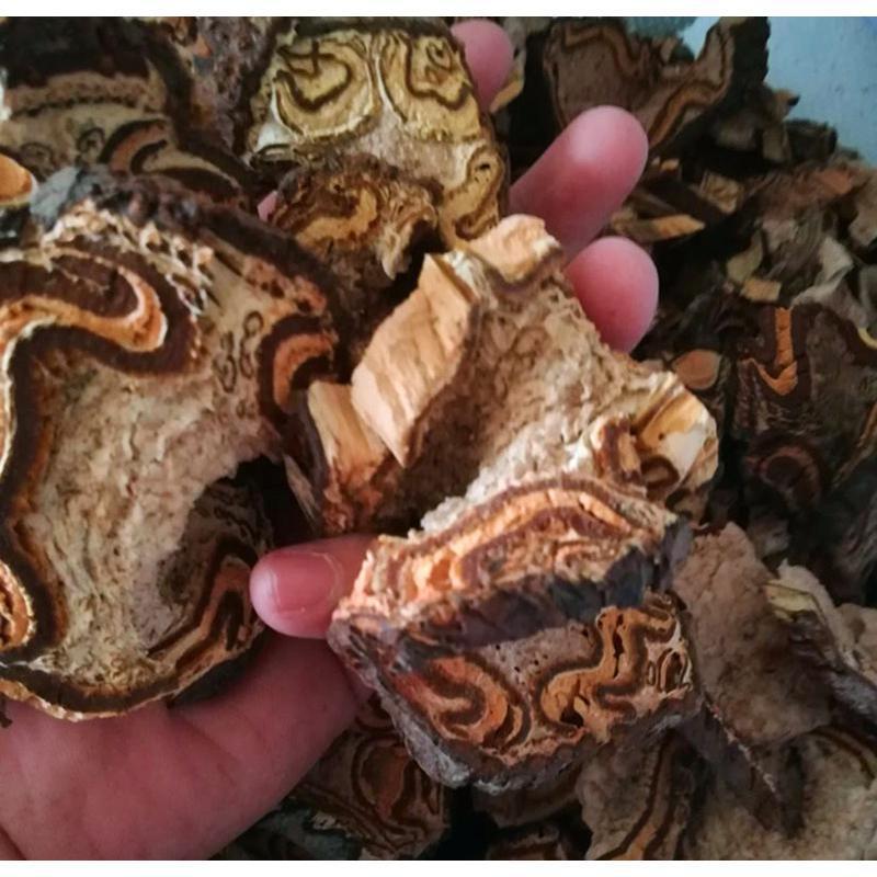 飞天禽罗，一手货源20新货，山卡崂道地药材产地直供
