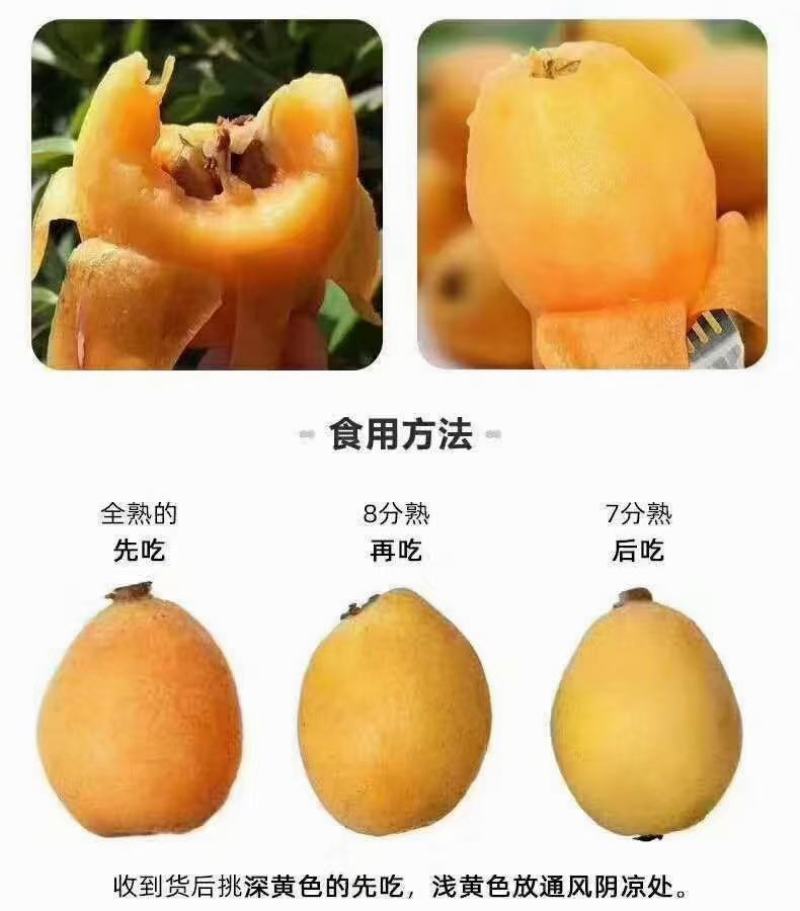 【热销】云霄枇杷产地直销货源充足视频看货一件代发包邮