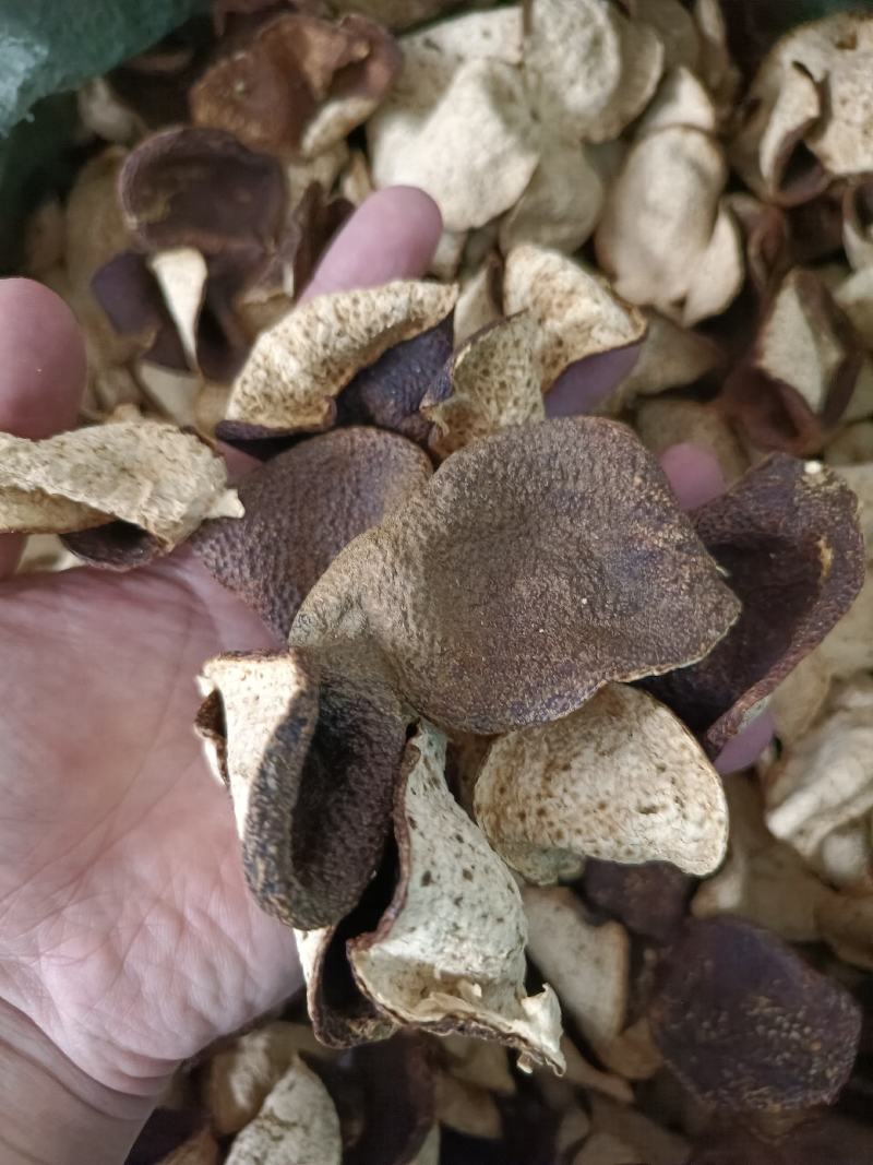 正宗新会陈皮18年大红皮成色好香味清纯可到果园参观