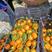椪柑卢柑春椪大量上市区口感好卖相佳