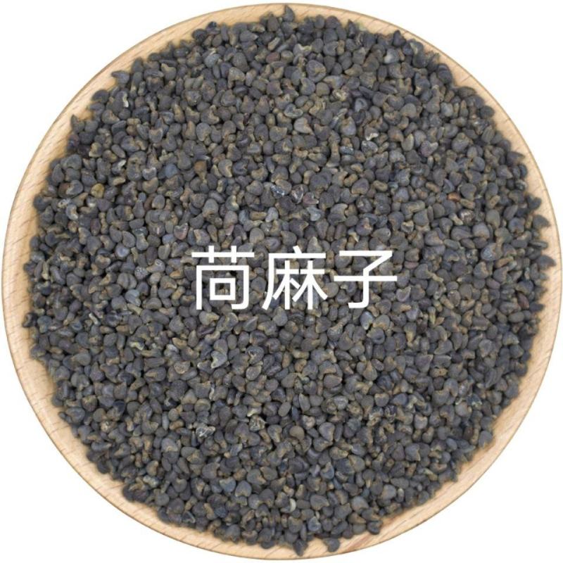 苘麻子无硫干货中药材青麻子中药材大全