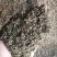 【优质花生秧粉】无土无膜无霉家禽家畜养殖专用现货供应