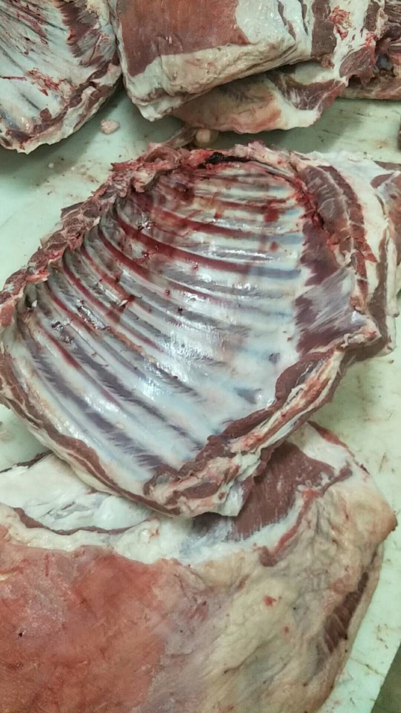羊排，内蒙纯干满肉羔羊排，质量保证，屠宰场直供低于市场价
