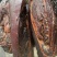 烟熏全干前腿腊肉（黄颜色黑颜色都有货）一手货源