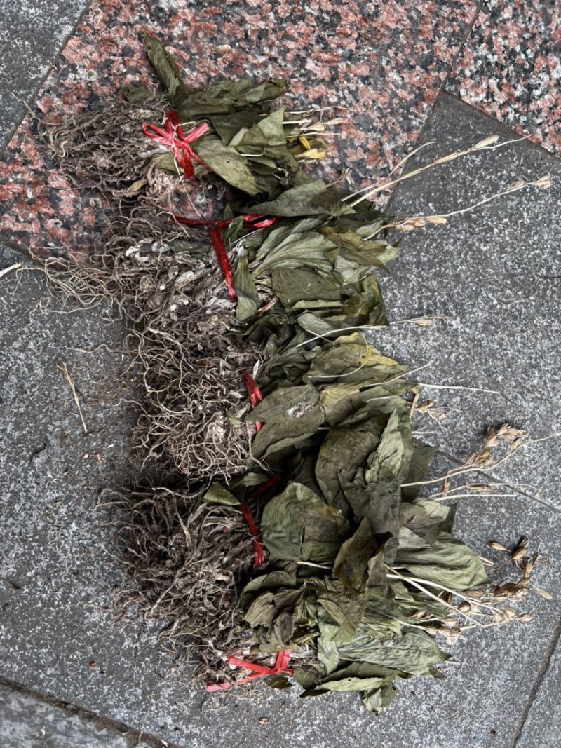 见血清小叶见血清