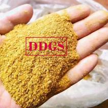 烘干玉米蛋白饲料DDGS高蛋白(26-28)，脂肪4-8