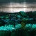 四川什邡西芹