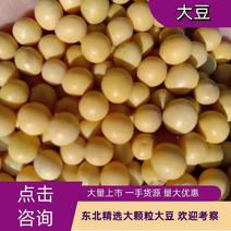 【东升系】黑龙江大豆精品大豆大量上市常年供货量大从优