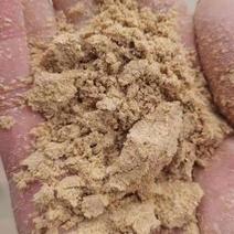 小米油糠(高端)蛋白脂肪26-30饲料厂用可支持检测