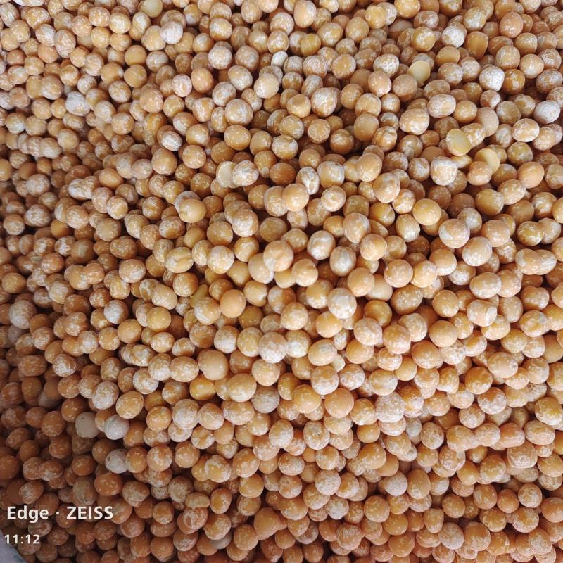 脱皮豌豆黄豌豆五谷杂粮黄豌豆仁批发馅料糕点原料50斤