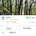 秋枫树树苗，4cm至40cm各种规格6000棵