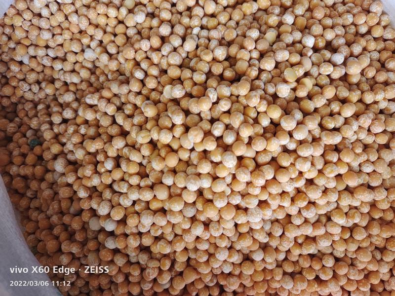 脱皮豌豆黄豌豆五谷杂粮黄豌豆仁批发馅料糕点原料50斤
