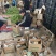海南小台芒【一件代发】，3/5/9斤对接电商微商直播平台