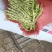 芸豆大量上市，九粒白芸豆老来少产地，可视频看货发货