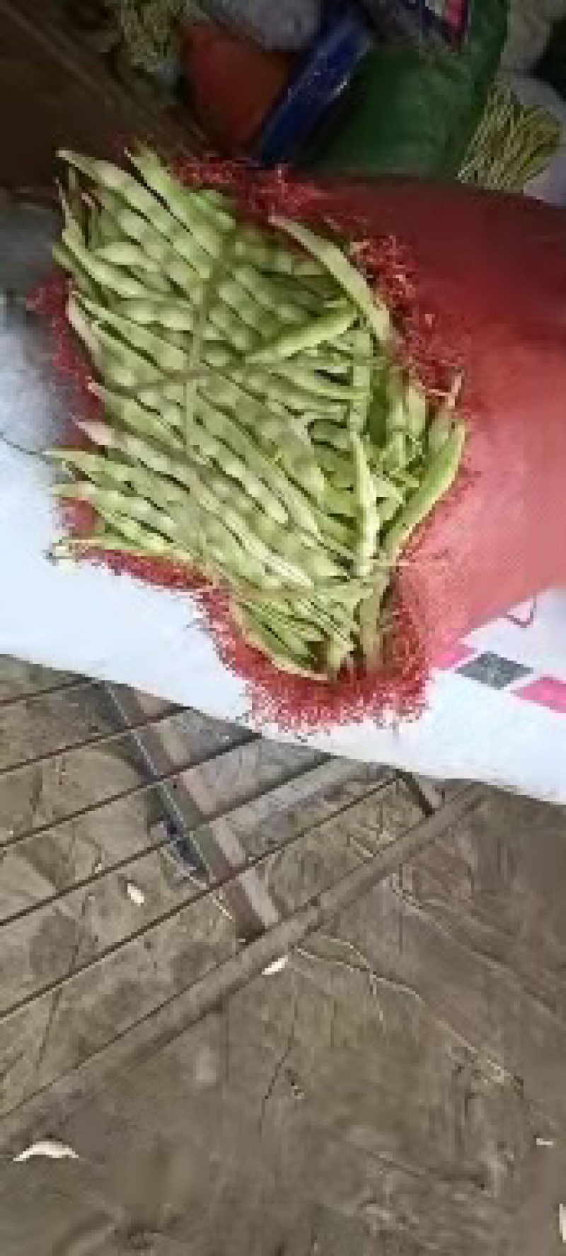 芸豆大量上市，九粒白芸豆老来少产地，可视频看货发货