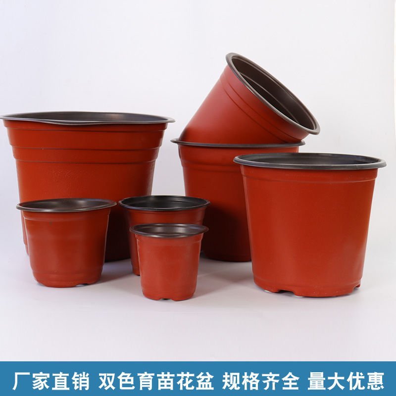 花盆，河北双色花盆，育苗种植盆，营养钵塑料，加厚规格齐全