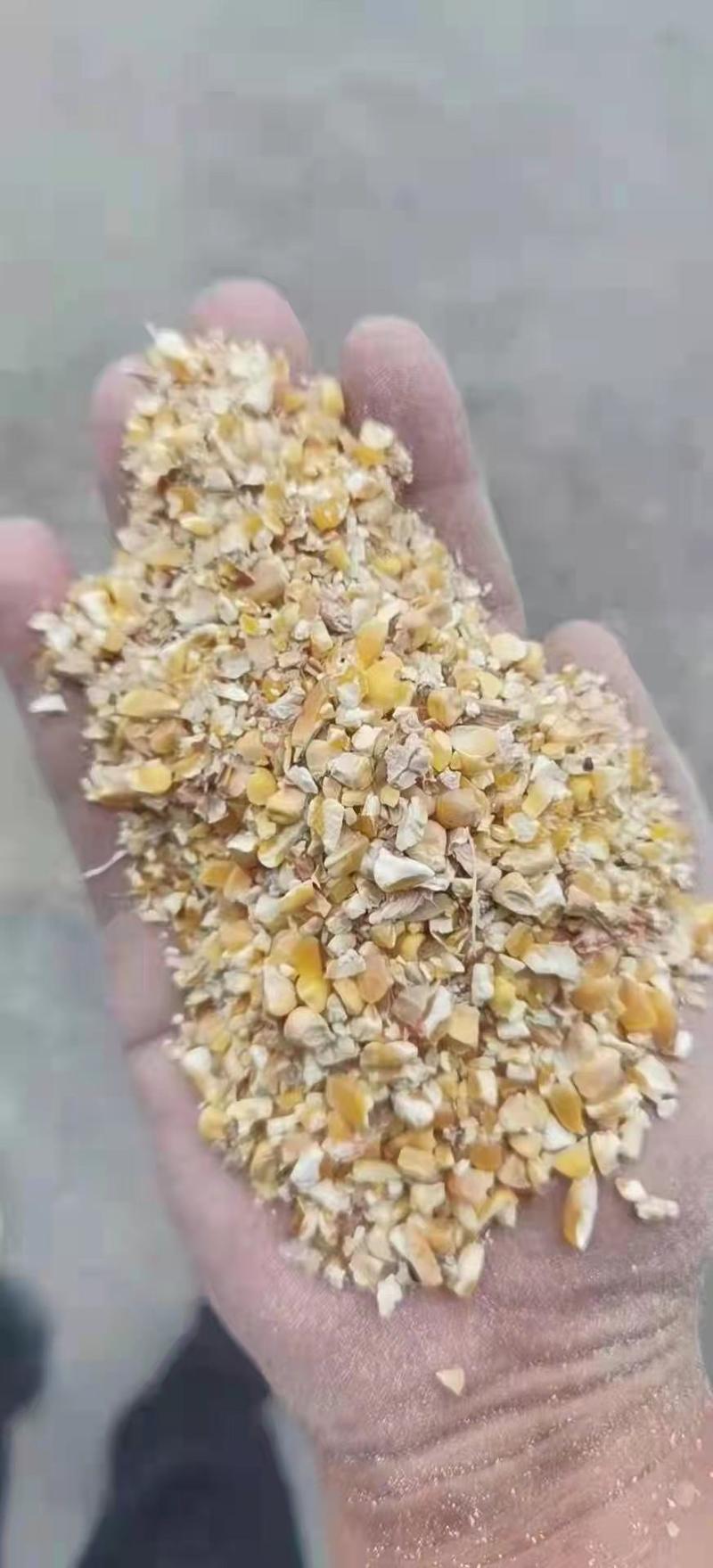 优质碎玉米（大颗粒）无土，无沙，无霉保质保量。