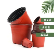 加厚双色盆批发育苗盆营养钵简易花盆育苗杯多肉扦插盆大棚双