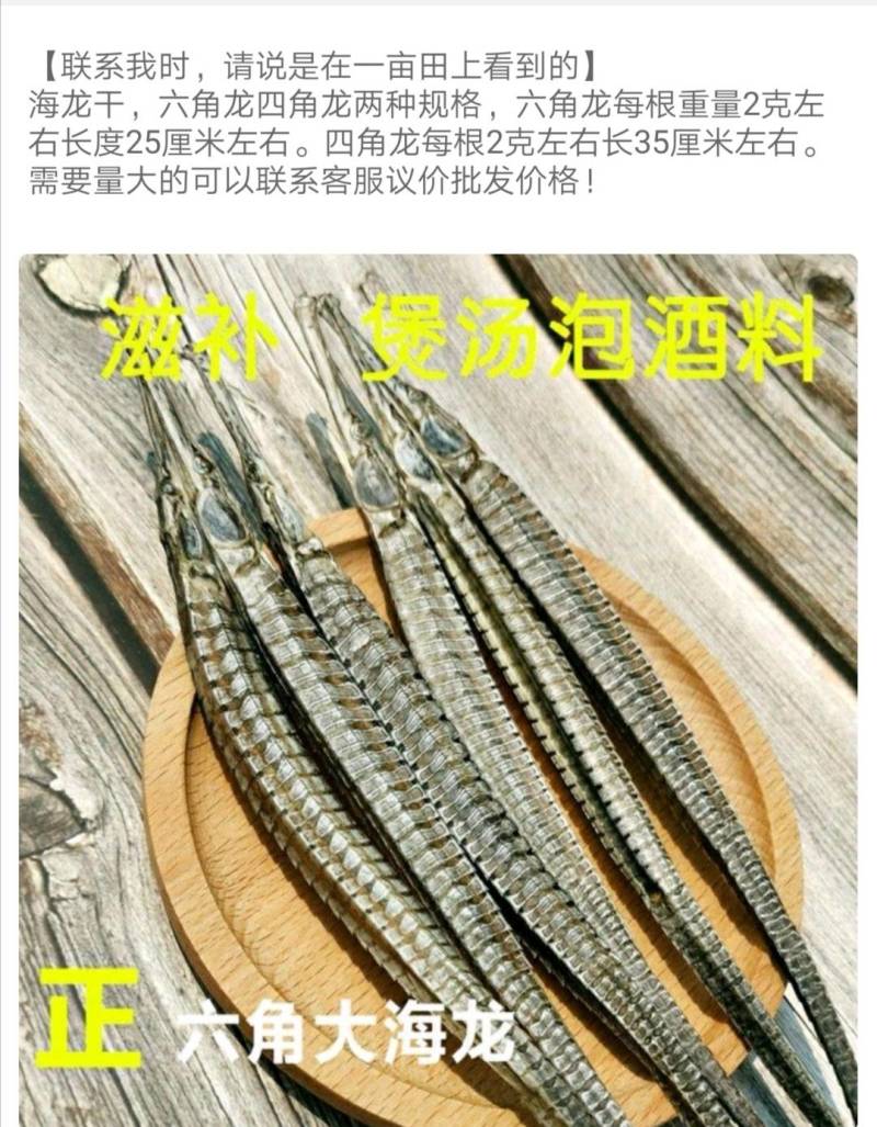 海龙干六角龙四角龙正宗海龙干泡酒滋补药材干货海龙6条包邮