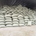 新鲜稻谷壳粗糠壳谷子壳稻糠壳动物宠物垫料枕头枕芯防震填充