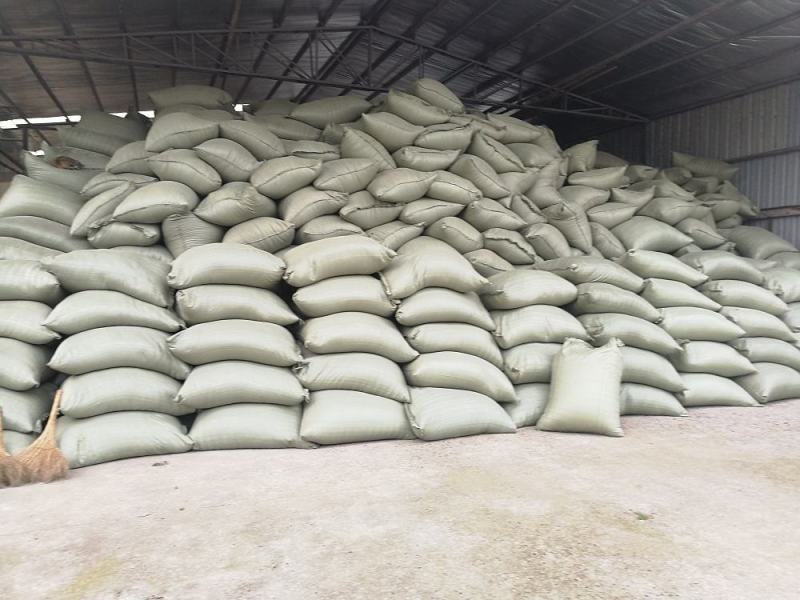 新鲜稻谷壳粗糠壳谷子壳稻糠壳动物宠物垫料枕头枕芯防震填充