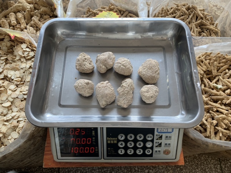 虎乳菌野生虎乳菌野生虎奶菇煲汤虎奶菇汤保证正品