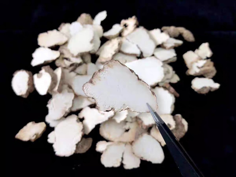虎乳菌野生虎乳菌野生虎奶菇煲汤虎奶菇汤保证正品