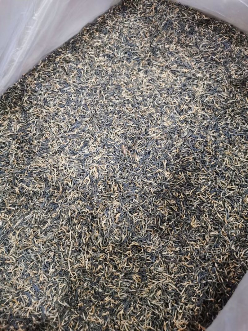 金骏眉红茶