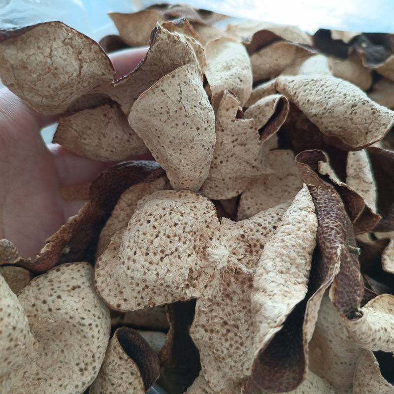 15年陈会陈皮茶坑大红皮极度稀缺极薄超清香油洞明显