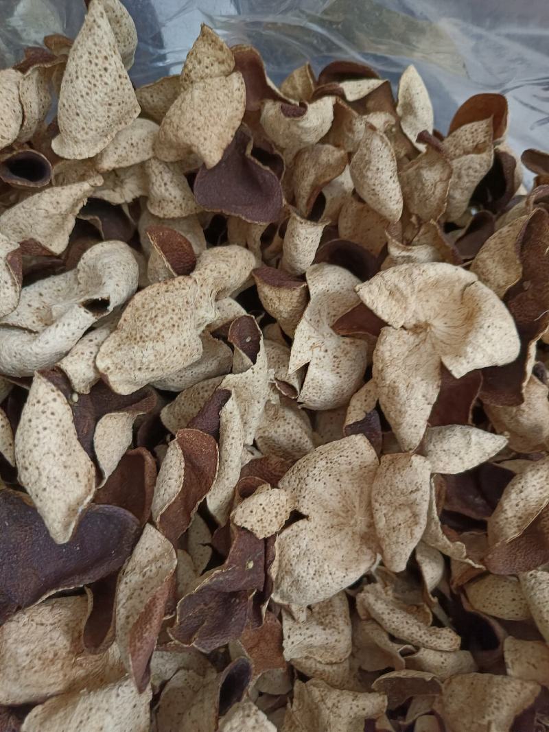 15年陈会陈皮茶坑大红皮极度稀缺极薄超清香油洞明显