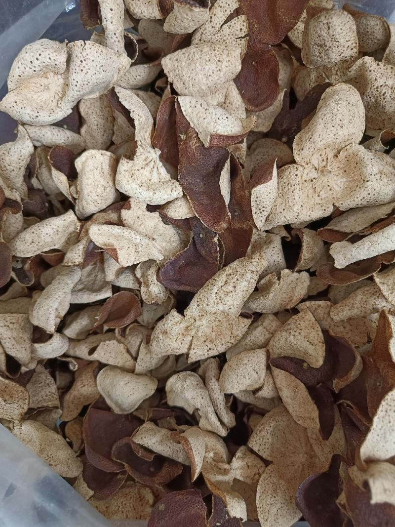 15年陈会陈皮茶坑大红皮极度稀缺极薄超清香油洞明显