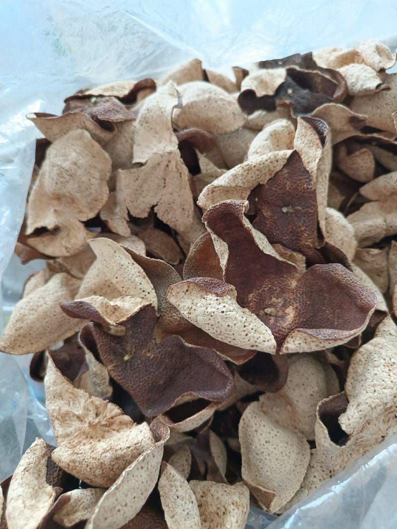 15年陈会陈皮茶坑大红皮极度稀缺极薄超清香油洞明显