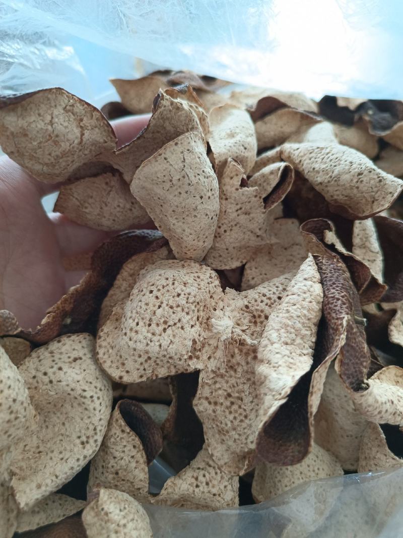 15年陈会陈皮茶坑大红皮极度稀缺极薄超清香油洞明显