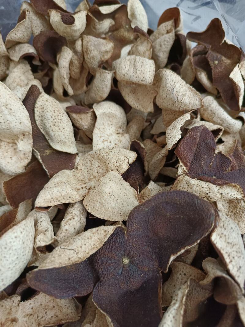 15年陈会陈皮茶坑大红皮极度稀缺极薄超清香油洞明显