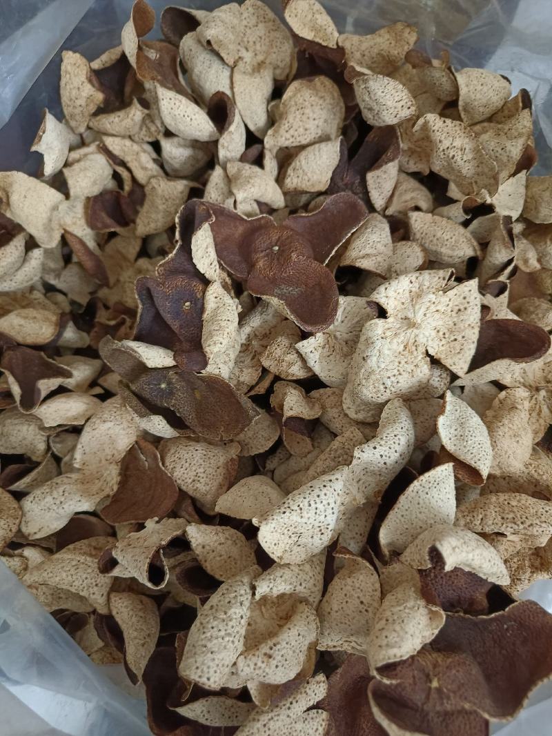 15年陈会陈皮茶坑大红皮极度稀缺极薄超清香油洞明显