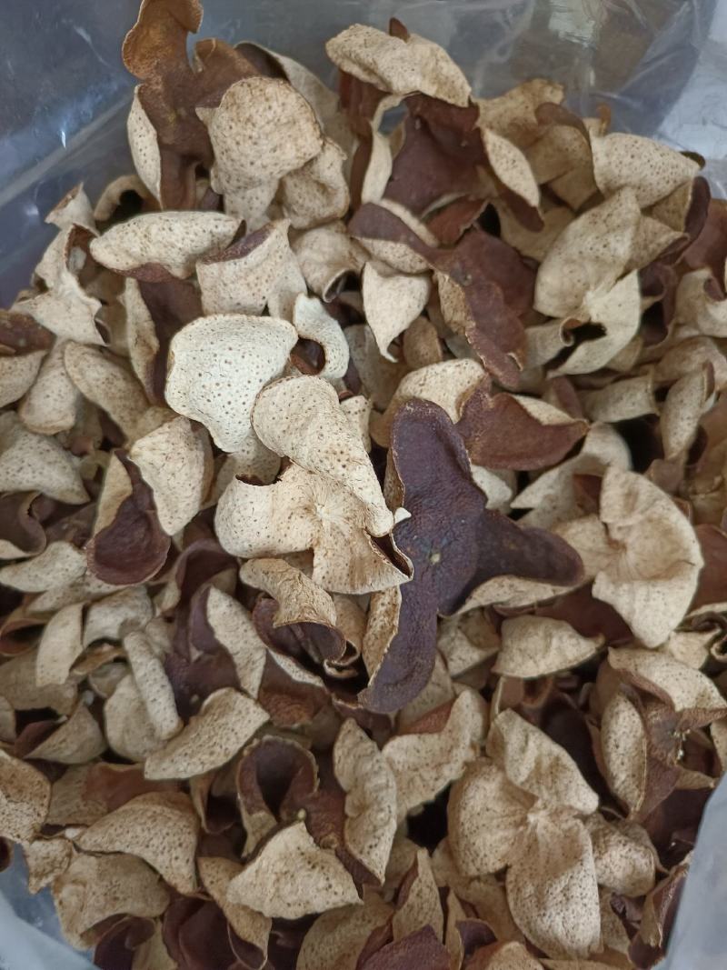 15年陈会陈皮茶坑大红皮极度稀缺极薄超清香油洞明显