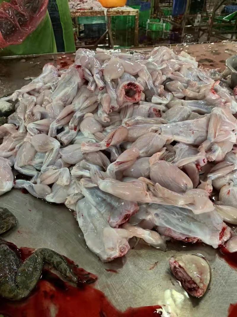 冰鲜蛙肉，牛蛙真空速冻单冻蛙肉特大号蛙肉