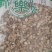 板蓝根干货中药材干净无杂质量大从优