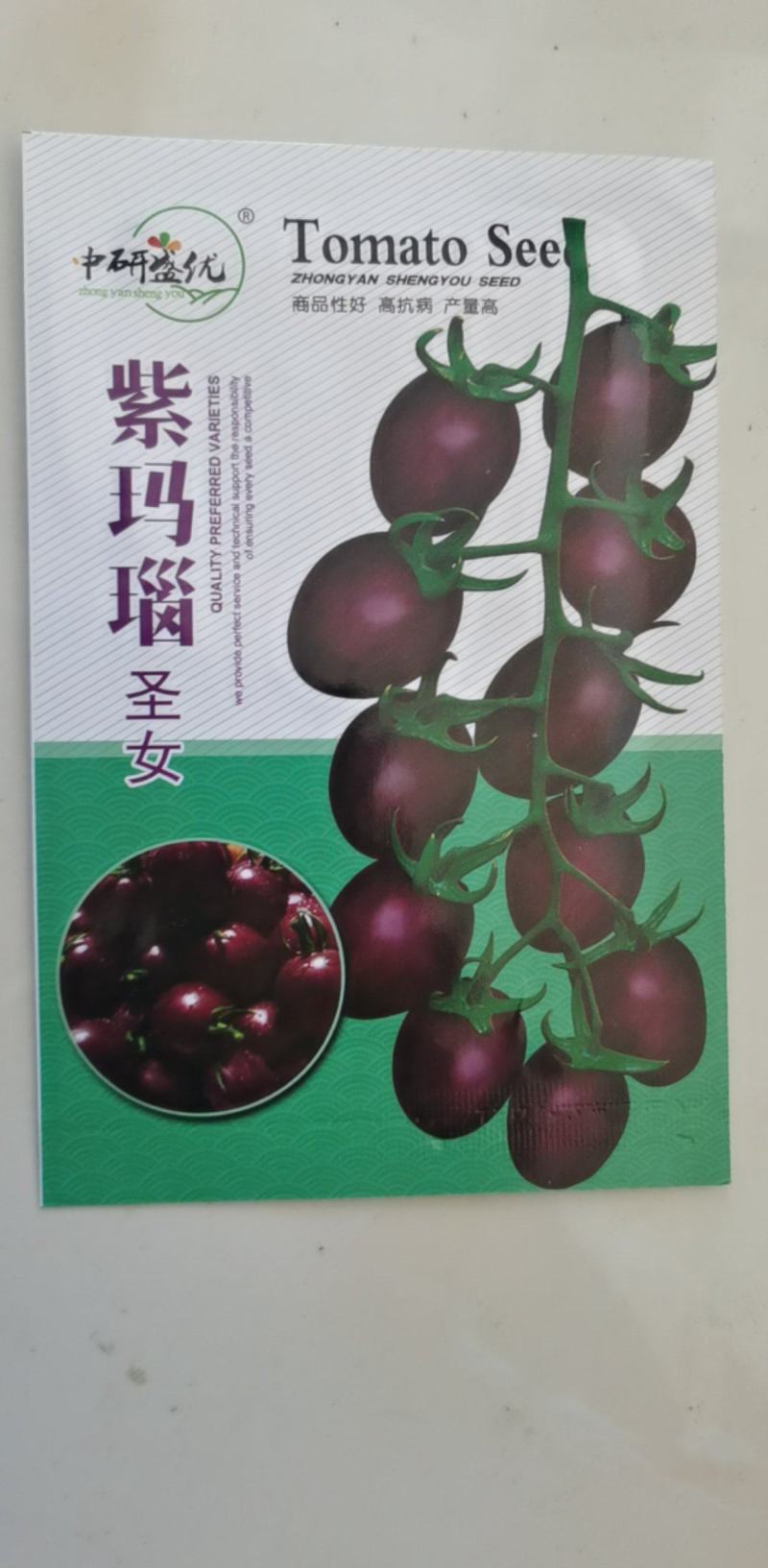 番茄种子紫玛瑙圣女果抗病强早熟春秋陆地栽培