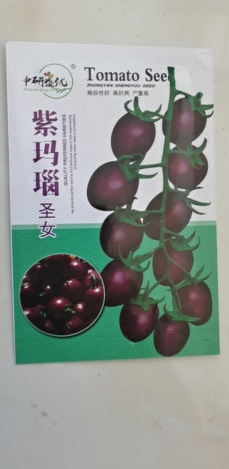 番茄种子紫玛瑙圣女果抗病强早熟春秋陆地栽培