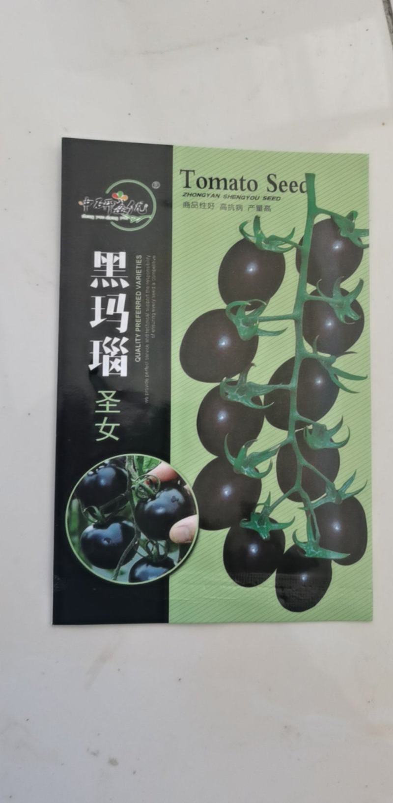 黑玛瑙番茄种子圣女果果硬无限生长早熟