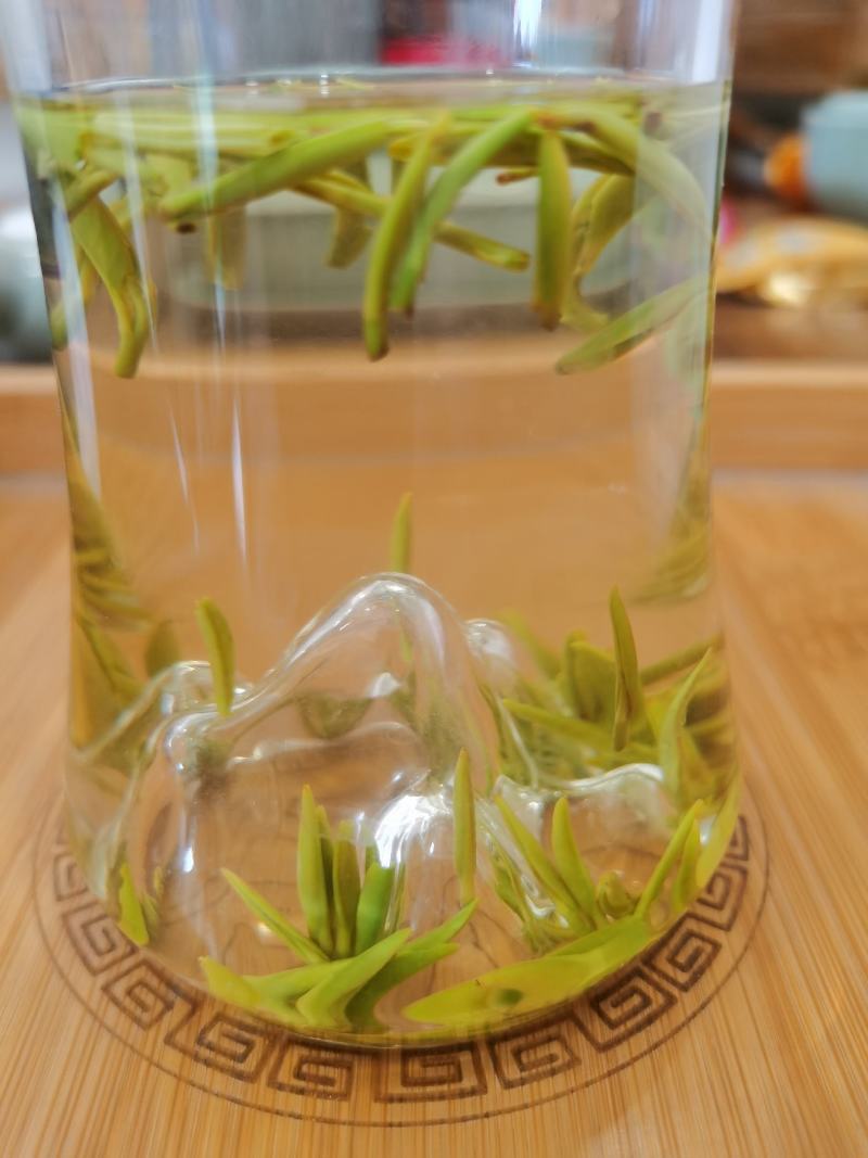 新茶上市啦！！2022年明前峨眉特级竹叶青