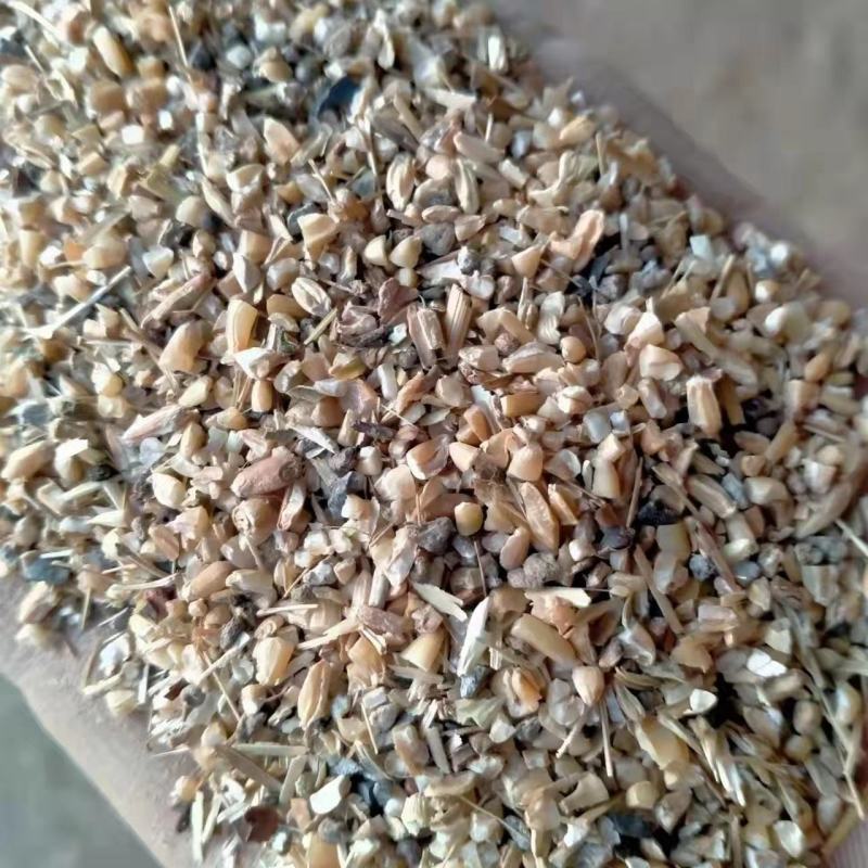 碎小麦(草籽麦)货源充足厂家直销一手货源价格美丽