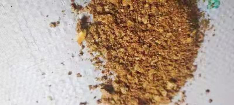 玉米胚芽饼，优质玉米胚芽饼，蛋白17-18脂肪8-9
