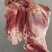纯干去皮羊后腿肉(精修无油)无碎肉