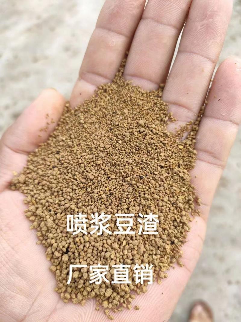 【热销】喷浆豆渣适用于饲料厂，养殖场添加