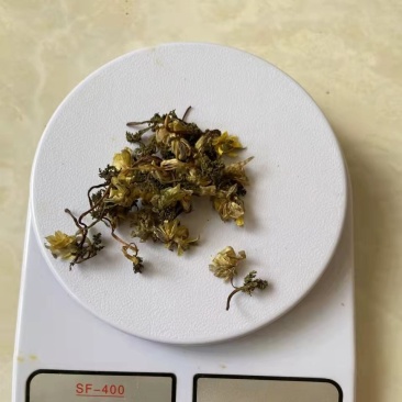 冰凌花，一手货源，产地直供，冰凌花干货，品质保证